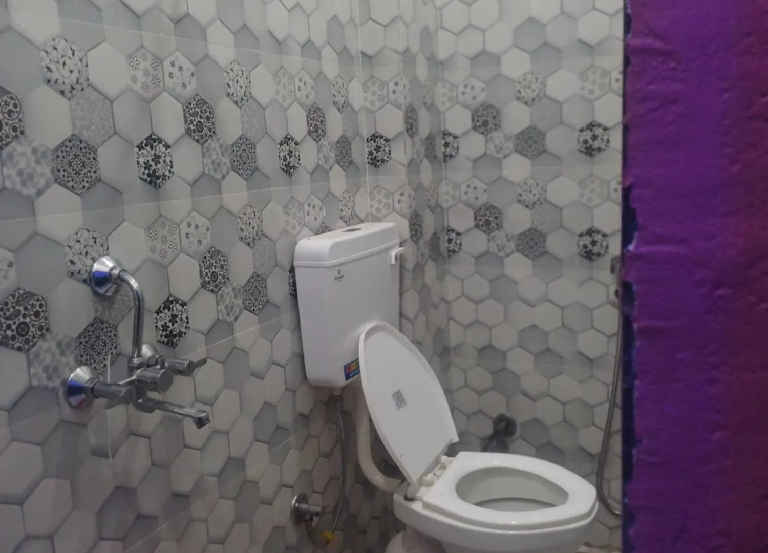 Tridev Paying Guest House فاراناسي